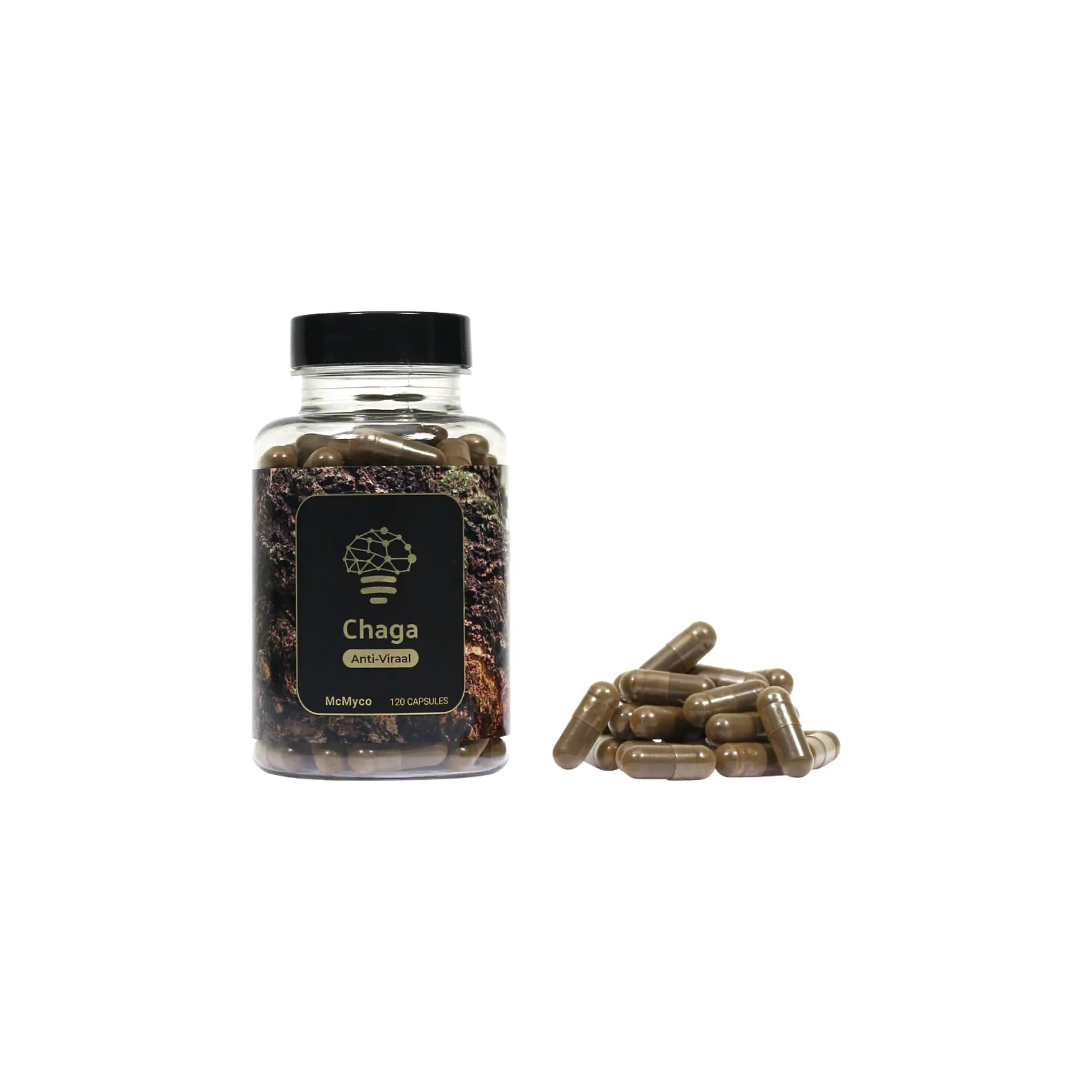 Chaga-1 Chaga extract capsules – 120 stuks Smartshop Dreamvalley