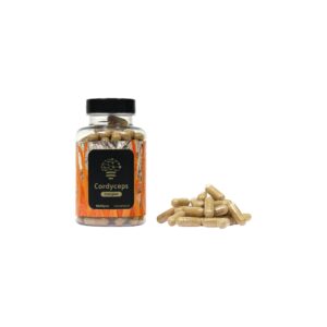 Cordyceps extract capsules – 120 stuks Smartshop Dreamvalley
