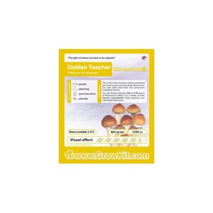 Golden Teacher, All in one Growkit Smartshop Dreamvalley