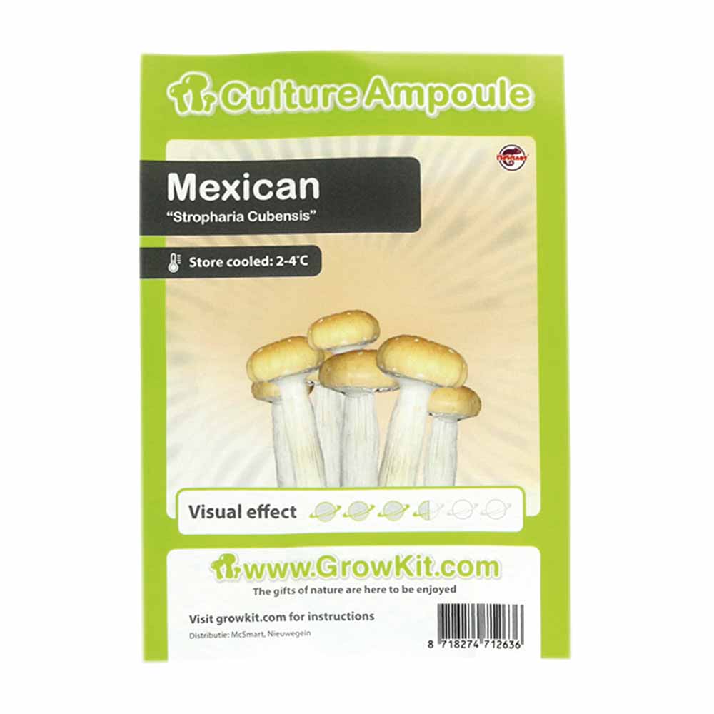 Mexican-2
